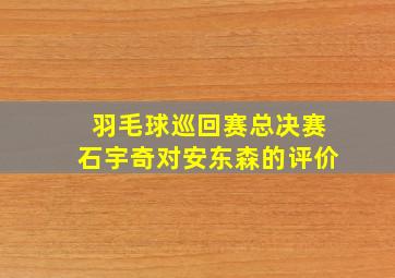 羽毛球巡回赛总决赛石宇奇对安东森的评价