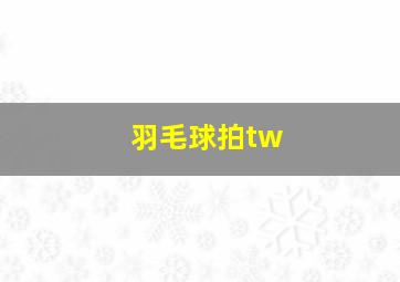 羽毛球拍tw