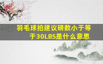 羽毛球拍建议磅数小于等于30LBS是什么意思