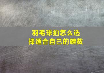 羽毛球拍怎么选择适合自己的磅数