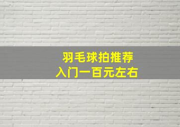 羽毛球拍推荐入门一百元左右