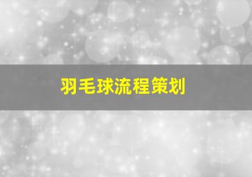 羽毛球流程策划