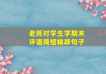 老师对学生学期末评语简短精辟句子