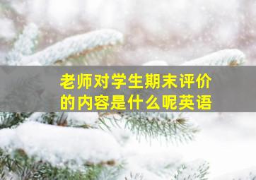 老师对学生期末评价的内容是什么呢英语