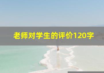 老师对学生的评价120字