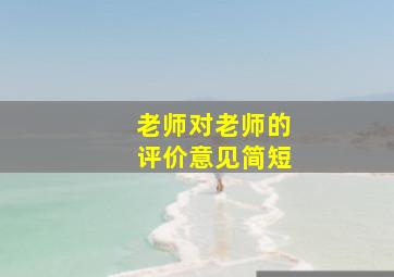 老师对老师的评价意见简短