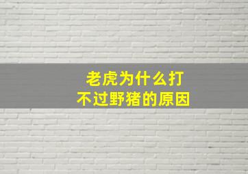 老虎为什么打不过野猪的原因