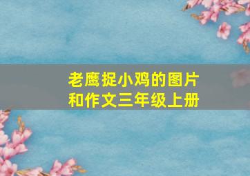 老鹰捉小鸡的图片和作文三年级上册