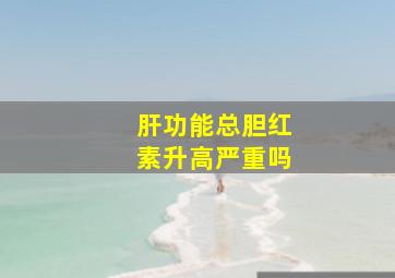 肝功能总胆红素升高严重吗