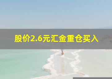 股价2.6元汇金重仓买入