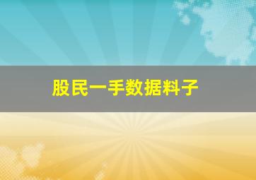 股民一手数据料子