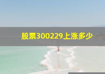 股票300229上涨多少