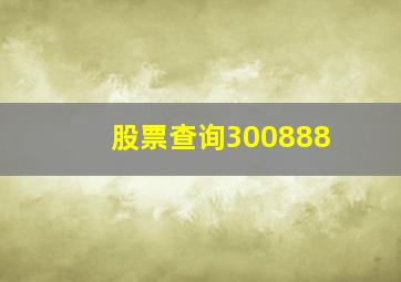 股票查询300888