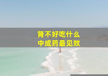 肾不好吃什么中成药最见效