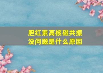 胆红素高核磁共振没问题是什么原因