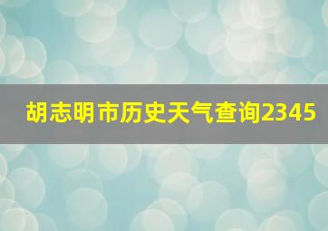 胡志明市历史天气查询2345