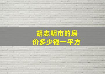 胡志明市的房价多少钱一平方