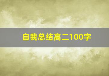 自我总结高二100字