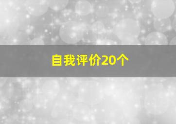 自我评价20个