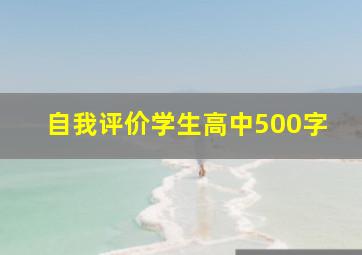 自我评价学生高中500字