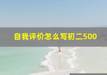 自我评价怎么写初二500