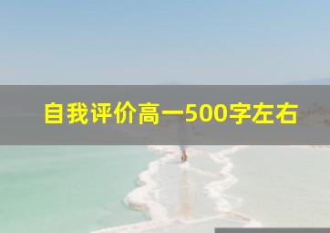 自我评价高一500字左右