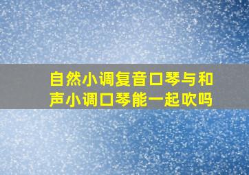 自然小调复音口琴与和声小调口琴能一起吹吗