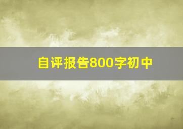 自评报告800字初中