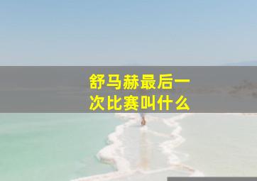 舒马赫最后一次比赛叫什么