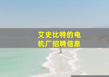 艾史比特的电机厂招聘信息