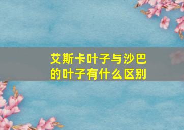 艾斯卡叶子与沙巴的叶子有什么区别