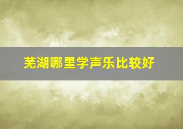 芜湖哪里学声乐比较好