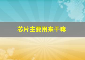 芯片主要用来干嘛