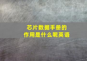 芯片数据手册的作用是什么呢英语