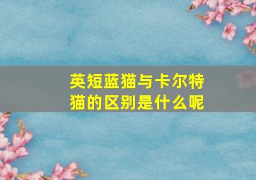 英短蓝猫与卡尔特猫的区别是什么呢