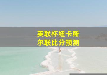 英联杯纽卡斯尔联比分预测