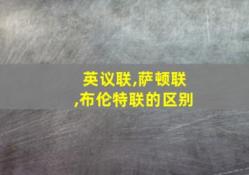 英议联,萨顿联,布伦特联的区别