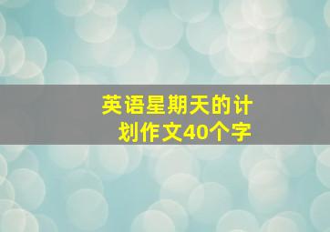 英语星期天的计划作文40个字