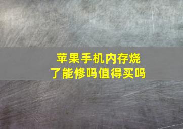 苹果手机内存烧了能修吗值得买吗