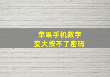 苹果手机数字变大按不了密码