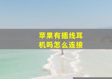 苹果有插线耳机吗怎么连接