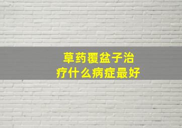 草药覆盆子治疗什么病症最好