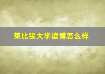 莱比锡大学读博怎么样