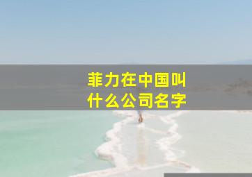 菲力在中国叫什么公司名字