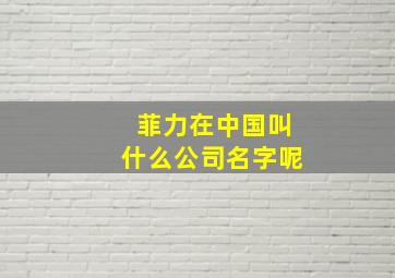 菲力在中国叫什么公司名字呢