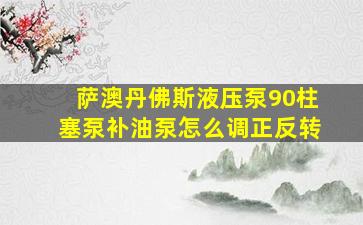 萨澳丹佛斯液压泵90柱塞泵补油泵怎么调正反转