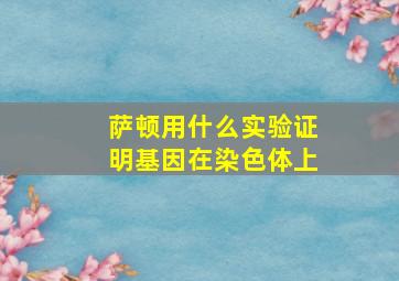 萨顿用什么实验证明基因在染色体上