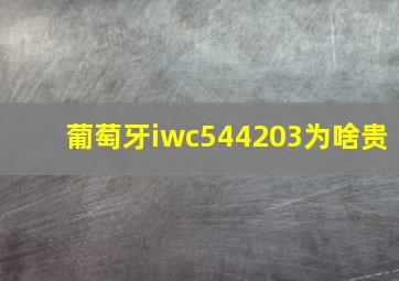 葡萄牙iwc544203为啥贵