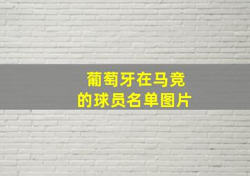 葡萄牙在马竞的球员名单图片