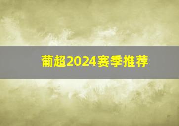 葡超2024赛季推荐